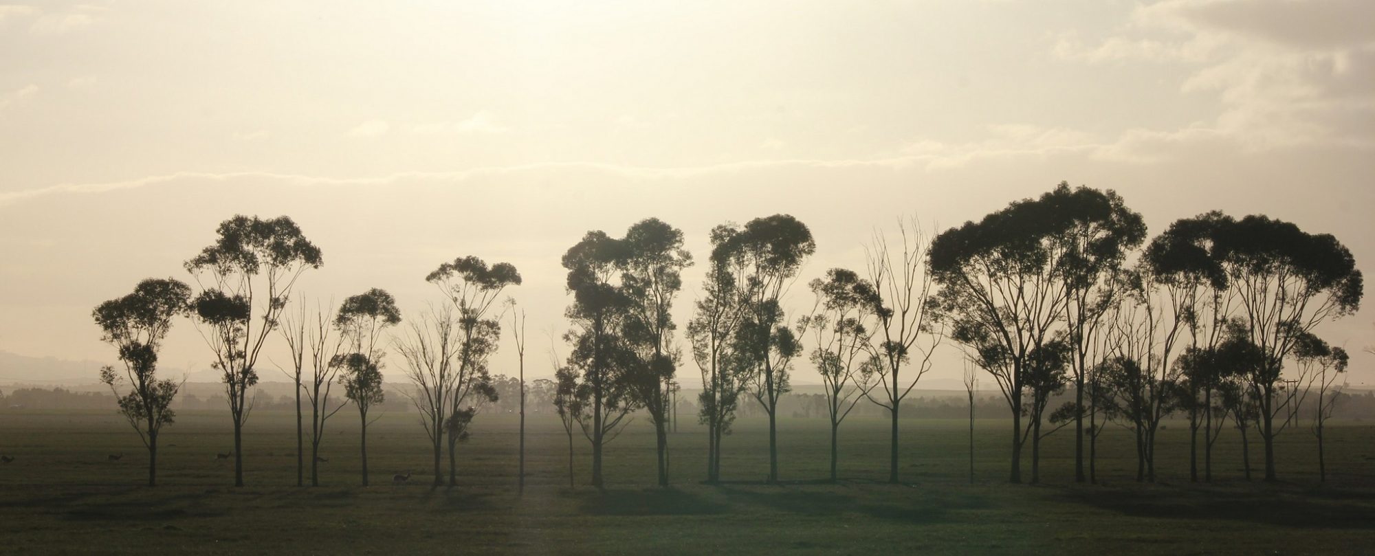 Voltooid Leven: de kerk als lege plek in het hoge gras